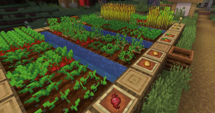 Découvrez les meilleures fermes de Minecraft