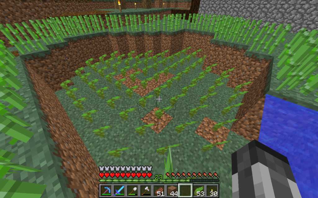 Une ferme e varech dans Minecraft