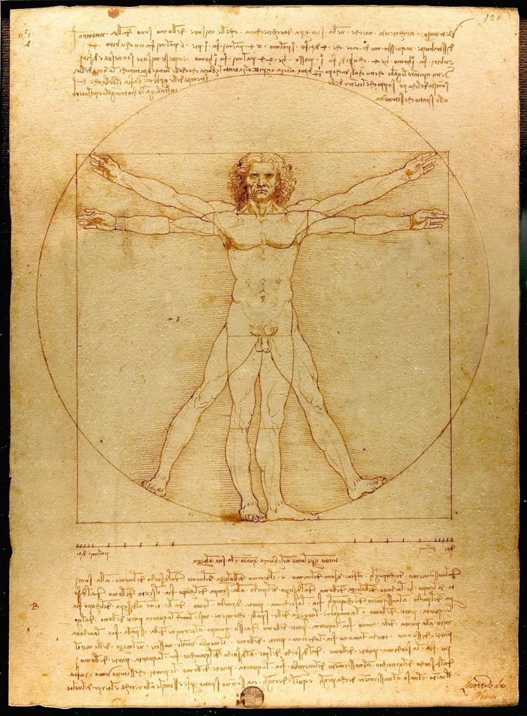 L'homme de Vitruve réalisé par Léonard de Vinci
