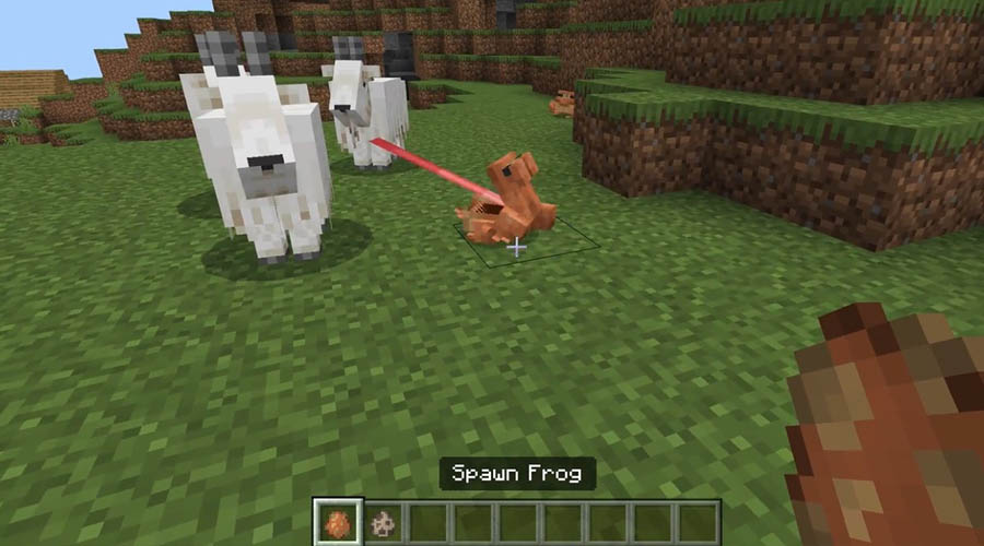 Une grenouille en train de manger une chèvre lors de la beta de la 1.9 de Minecraft