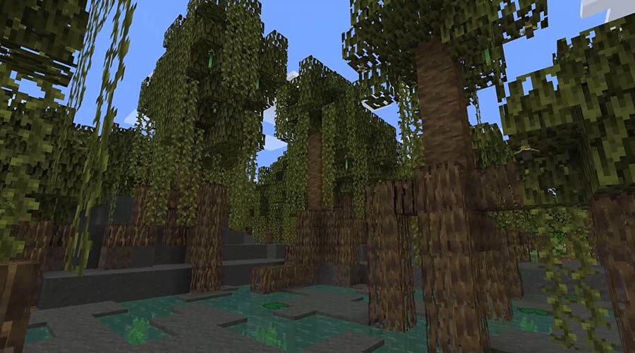 Le marais de mangrave, bime de The Wild Update de Minecraft