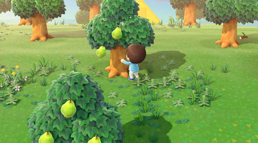 La réputation de l'île dans Animal Crossing New Horizons repose aussi sur la beauté des extérieurs