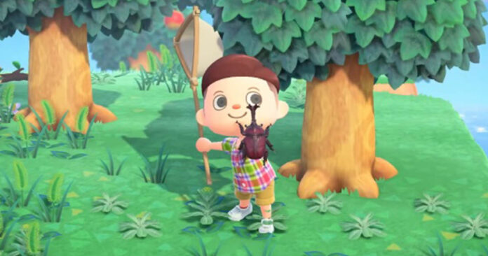 La capture d'insectes dans Animal Crossing New Horizons