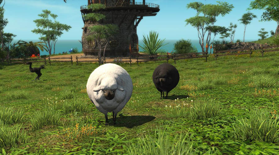 Élevez des moutons sur votre ile personnelle dans Final Fantasy XIV