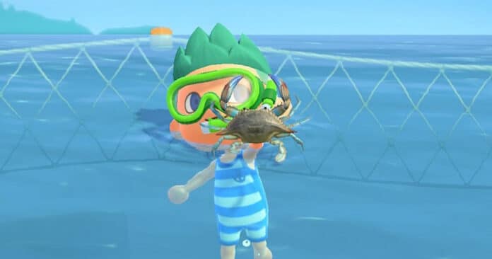 Partez à la pêche aux créatures marines dans Animal Crossing New Horizons