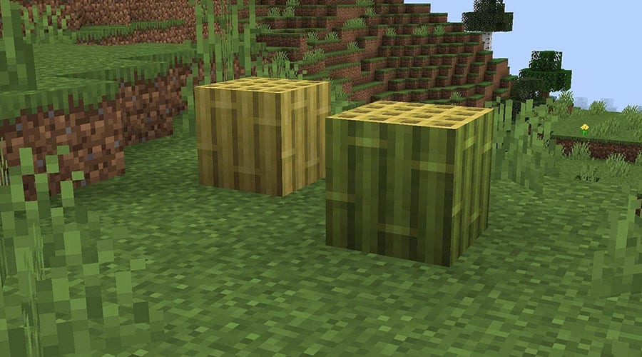 Le bloc de bambou, nouveauté de la mise à jour 1.20 de Minecraft