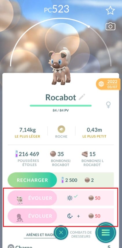 Rocabot, un Pokémon dont l'évolution peut survenir de jour ou de nuit