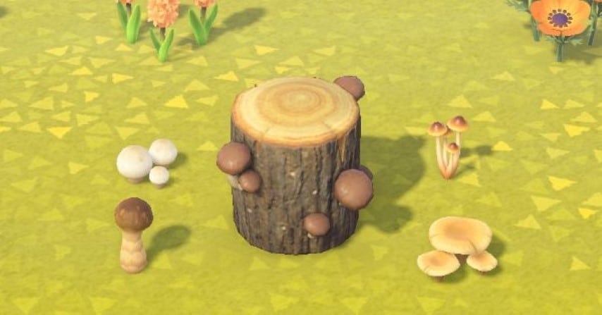 Les différents champignons dans Animal Crossing New Horizons