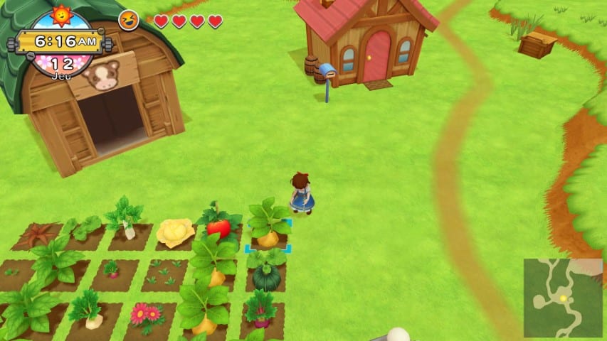 Screenshot d'un jeu Harvest Moon